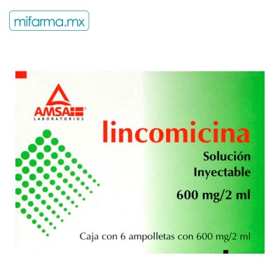 Lincomicina 600 mg AMSA - Mi Farma