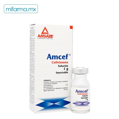 Amcef IM Ceftriaxona 1g - Mi Farma