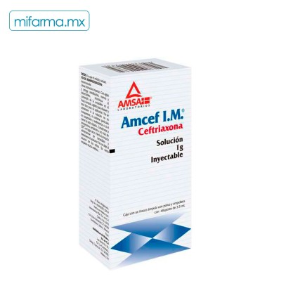 Amcef IM Ceftriaxona 1g - Mi Farma