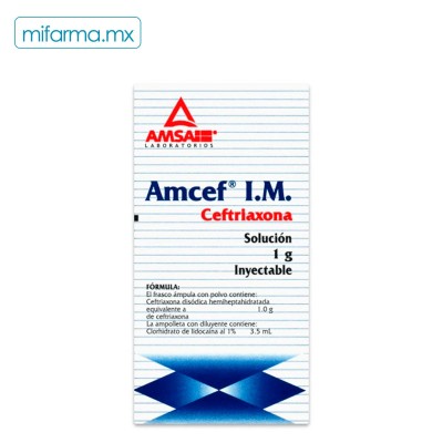 Amcef IM Ceftriaxona 1g - Mi Farma